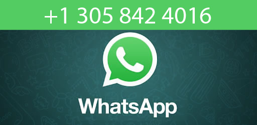 wapp_miami48